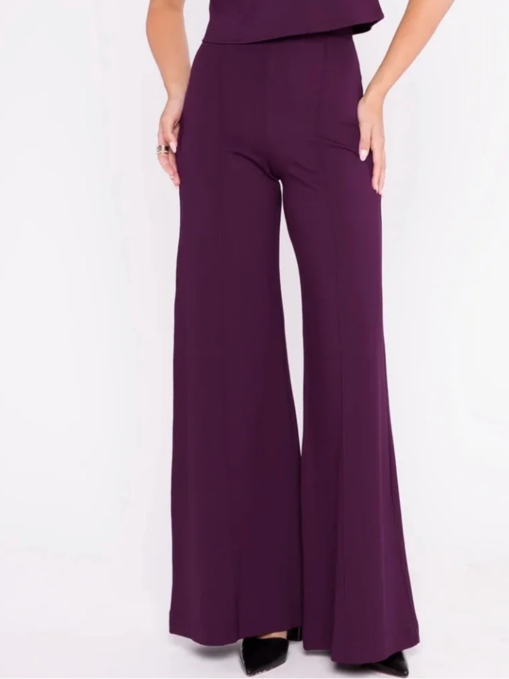 Ripley Rader Ponte Knit Wide Pant Plum Stretch Pull On Workwear Career Womens 4